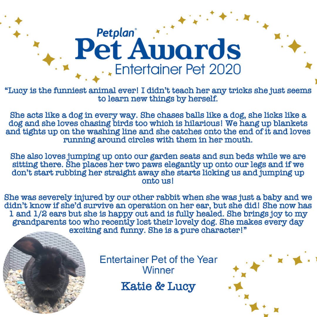 Petplan Pet Awards 2020 Petplan